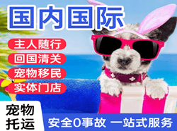 平潭机场货运国际宠物托运 【国